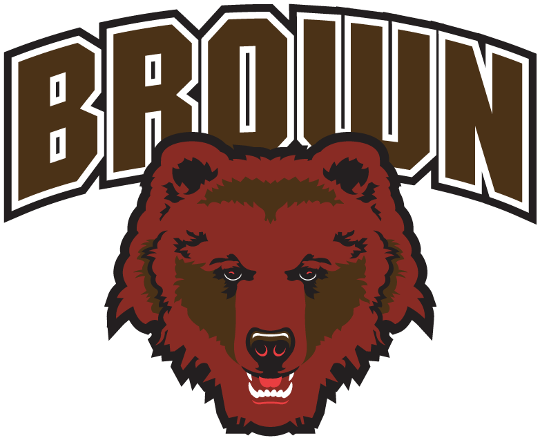 Brown Bears 1997-2002 Secondary Logo diy fabric transfer